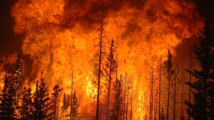 На Ямале горит более 155 тысяч квадратных метров леса