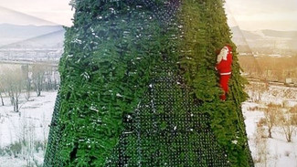 В Красноярске на самую высокую новогоднюю ёлку России забрался Санта Клаус