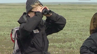 Ямальские биологи открывают новый полевой сезон. Исследовать тундру они отправятся на Еркуту и в Сабетту