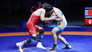 Одна золотая и три бронзовые: ямальские спортсмены — на пьедестале международных соревнований по греко-римской борьбе 