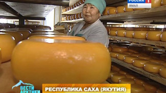 В чем секрет вкуса якутского деликатеса? Сыроделы раскрывают свои тайны