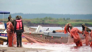 Летняя путина в самом разгаре: первые результаты сезона от тазовских рыбаков