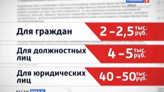 Президент России подписал закон, запрещающий мат в СМИ