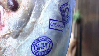 Мясо исключительно высокого качества: в Тазовском районе продолжается забойная кампания