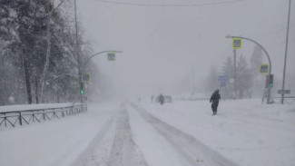 В Ноябрьске ввели режим ЧС из-за майского снегопада и ветра до 20 м/с