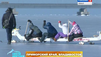 «Огнедышащий болид». Во Владивостоке смастерили необычные сани в виде дракона