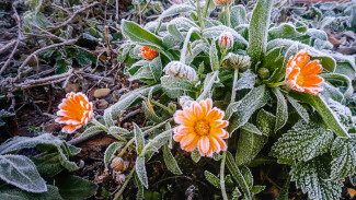 Погода в Салехарде и округе: синоптики обещают ночные заморозки