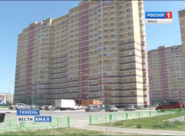 Алиса ямальская ул 2в фото Международный день леса в Тюмени. Жители микрорайона "Ямальский-2" высадили 430 