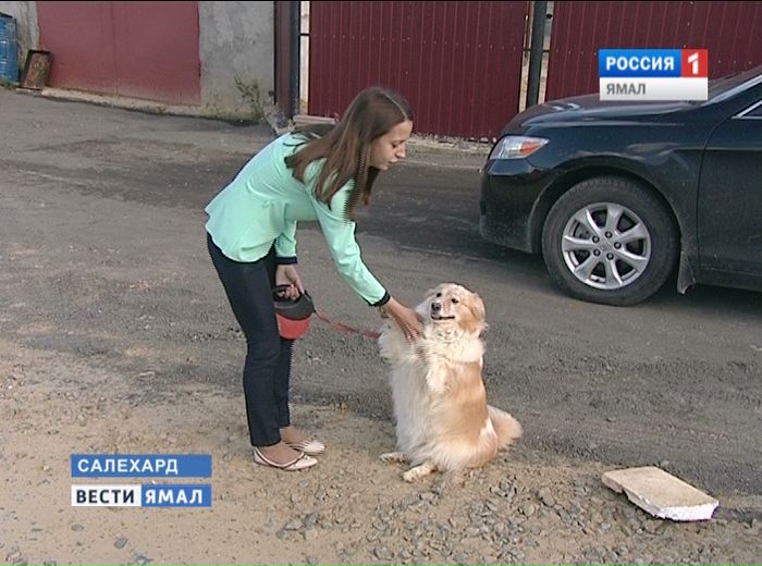 Саратове собака пристрелила хозяина фото