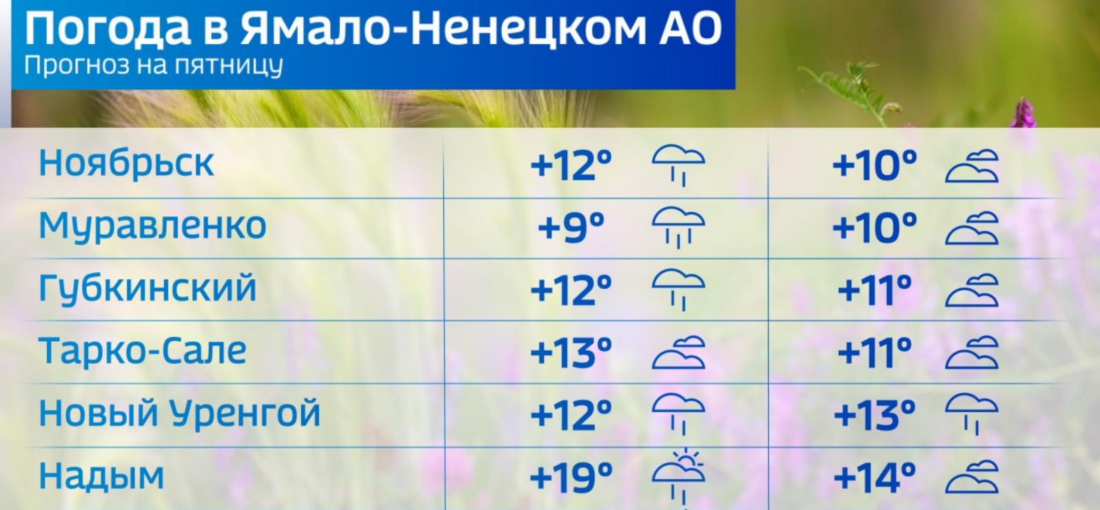 Погода 6 сентября. Салехард климат. Погода в Ноябрьске. Погода Салехард. Салехард погодные условия.