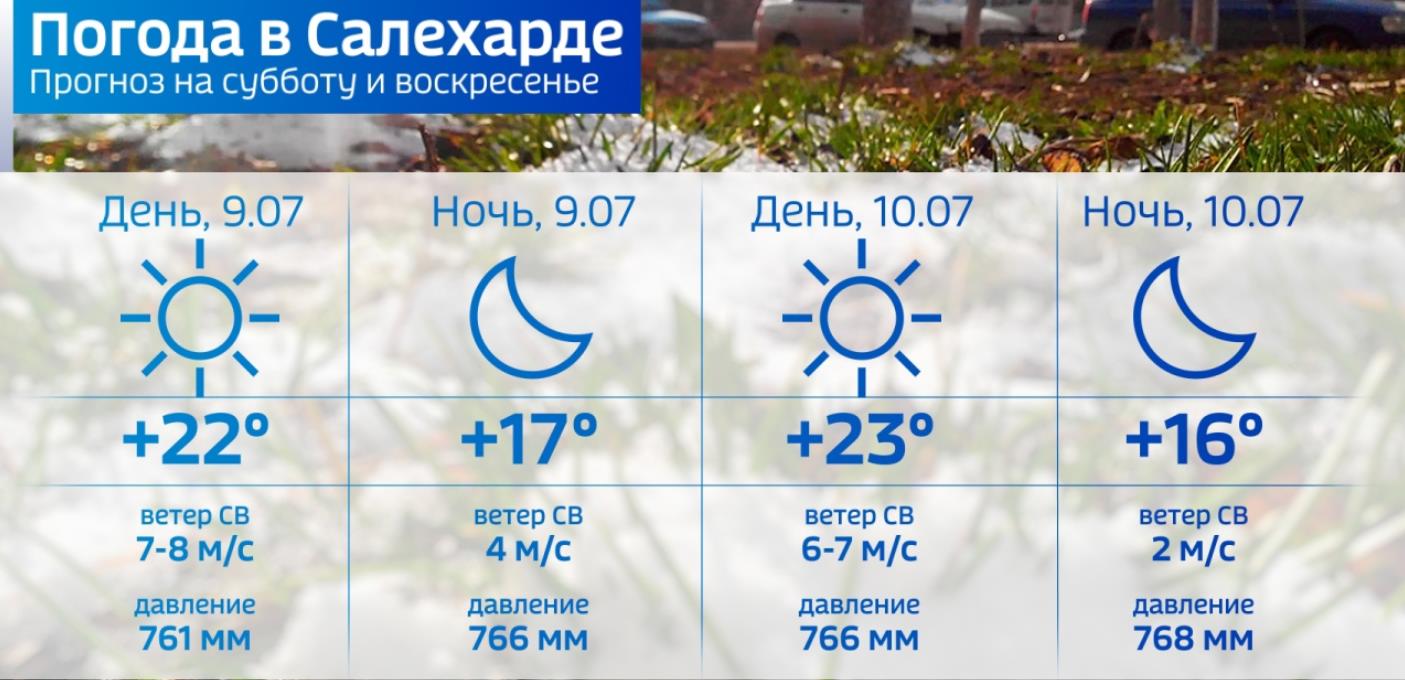 Салехард температура. Погода Салехард. Погода в Салехарде сейчас. Салехард погода сегодня сейчас. Салехард погодные условия.