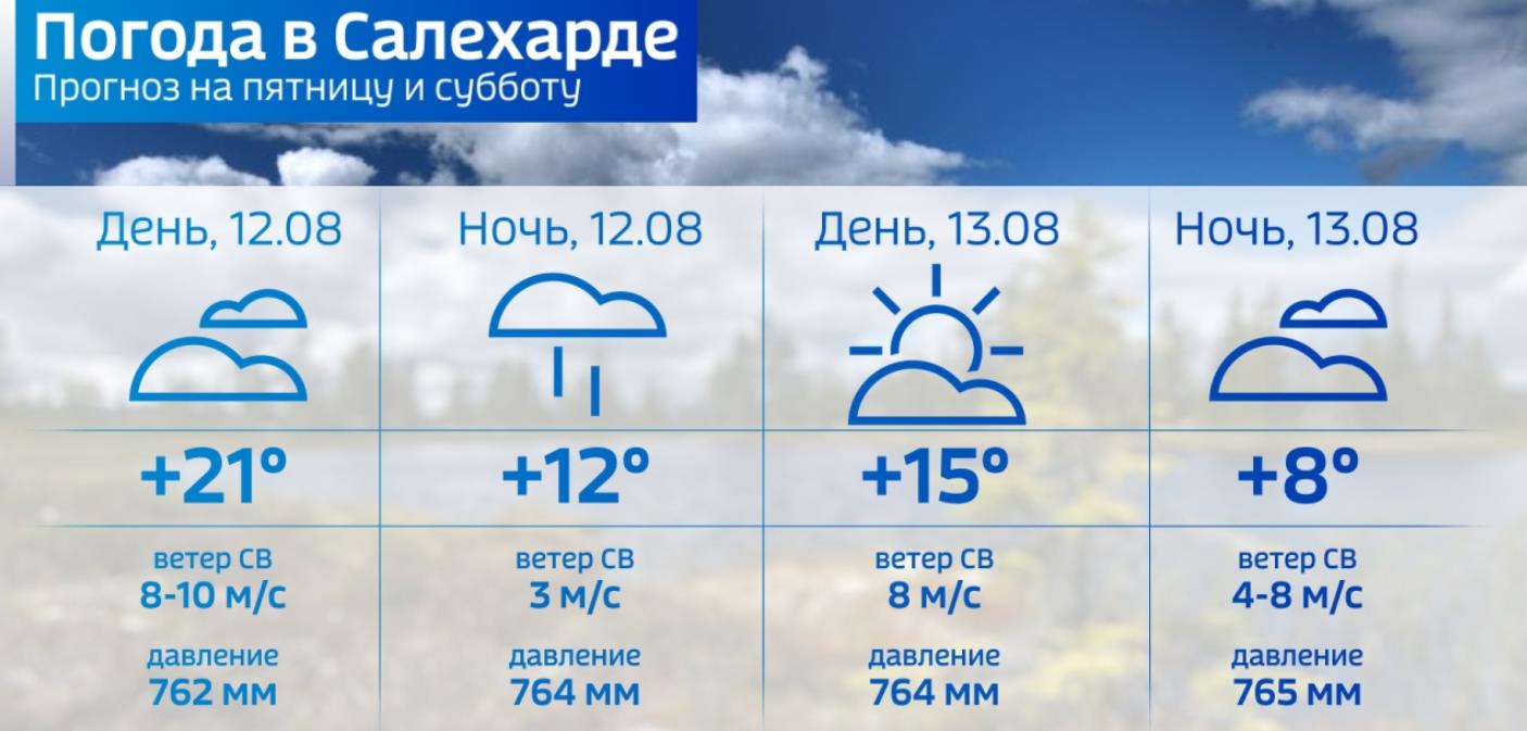 Погода в Салехарде: в эту пятницу на Ямале за окном будет хмуро и дождливо  – Новости Салехарда и ЯНАО – Вести. Ямал. Актуальные новости Ямала