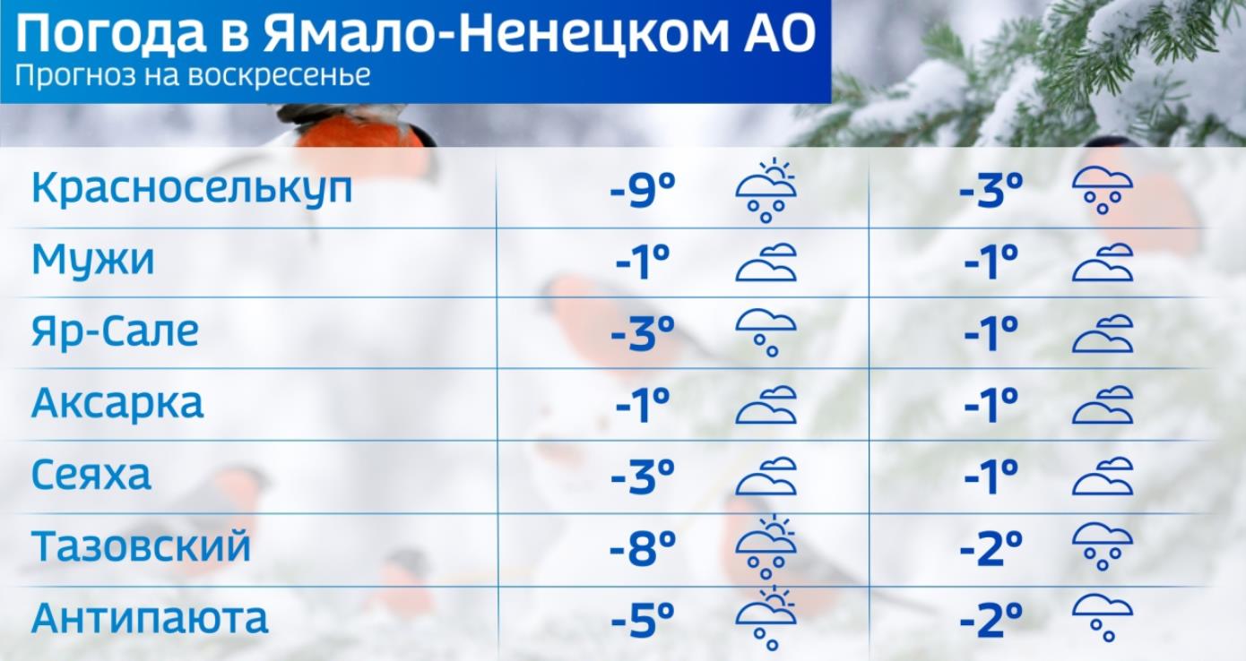 Метеопрогноз: синоптики обещают теплую, но снежную погоду на Ямале –  Новости Салехарда и ЯНАО – Вести. Ямал. Актуальные новости Ямала