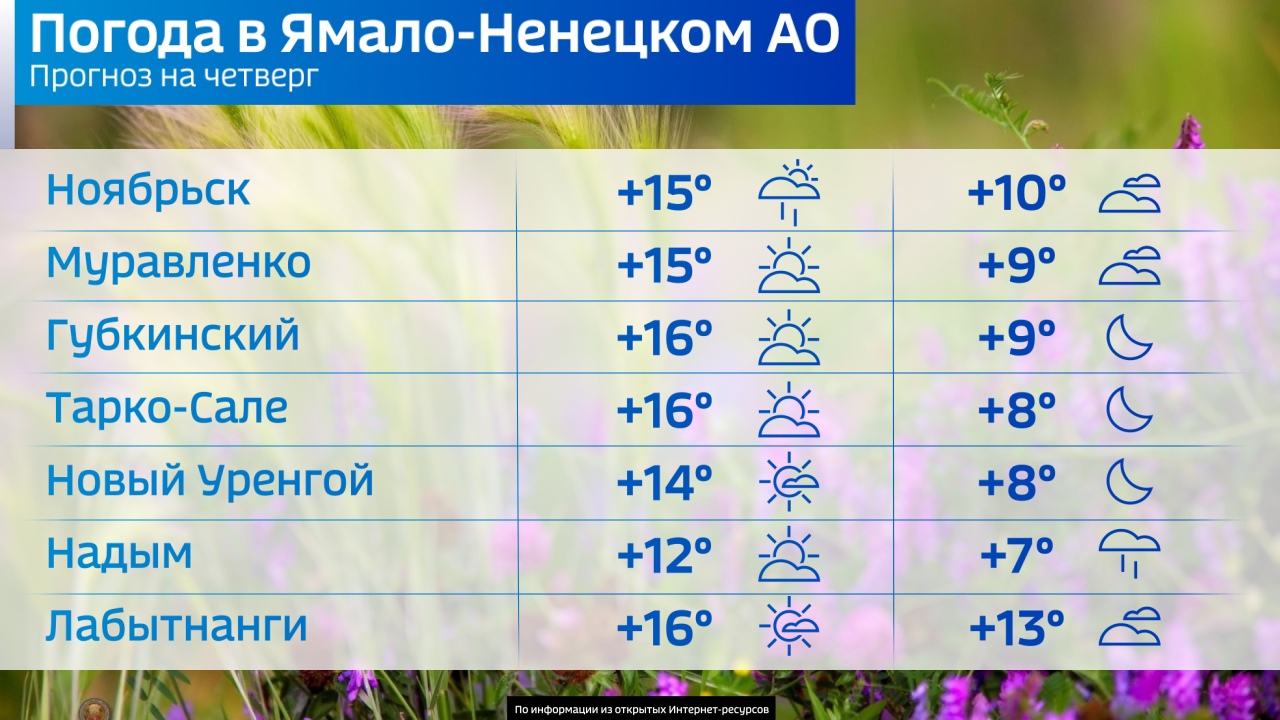 Погода в Салехарде: лето не сдает позиции | 18.08.2022 | Салехард -  БезФормата