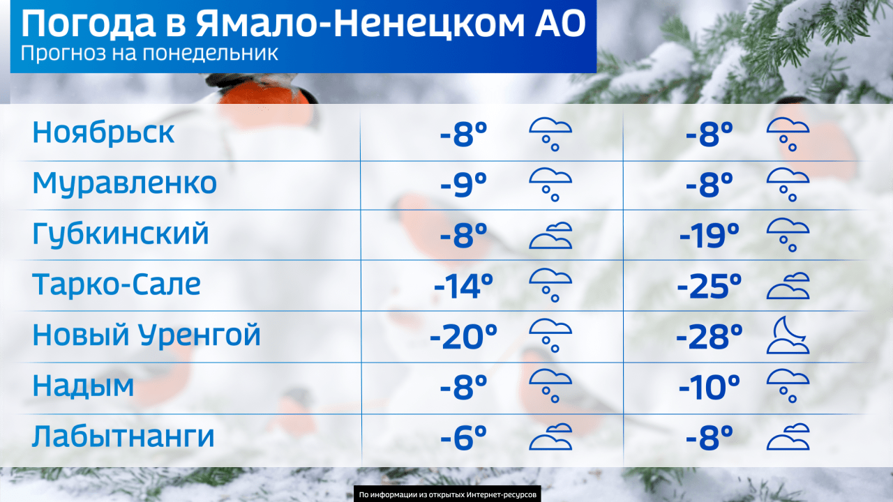 Прогноз погоды нова. Салехард климат. Салехард климат по месяцам. Зимние погодные явления. Ямал температура зимой.