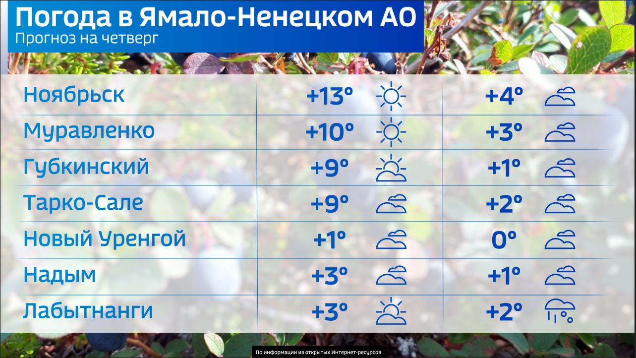 Погода в ноябрьске на май