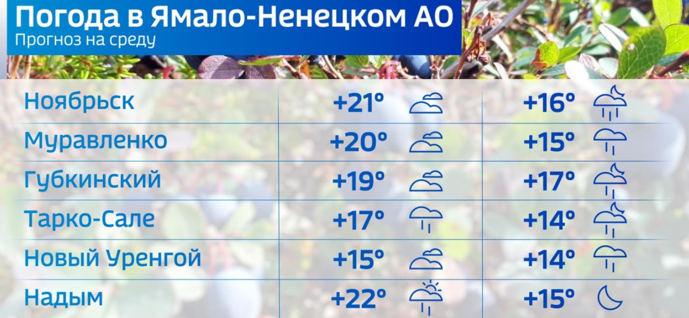 Погода в Салехарде: конец августа в этом году на Ямале – лету не помеха –  Новости Салехарда и ЯНАО – Вести. Ямал. Актуальные новости Ямала