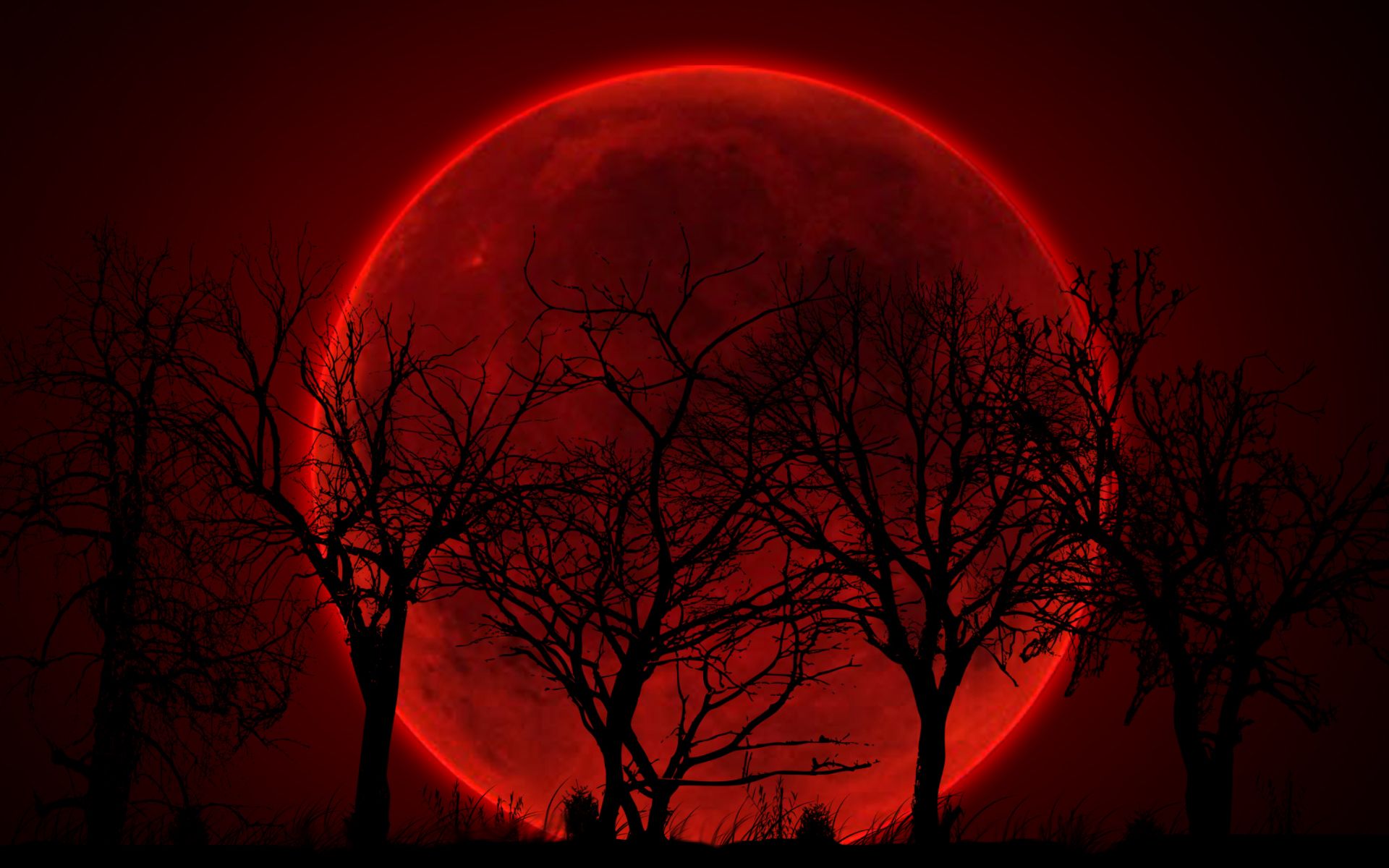 Есть кровавая ночь. Красная Кровавая Луна. Кровавая Луна Кровавая Луна. Полнолуние Кровавая Луна. Лунное затмение Кровавая Луна.