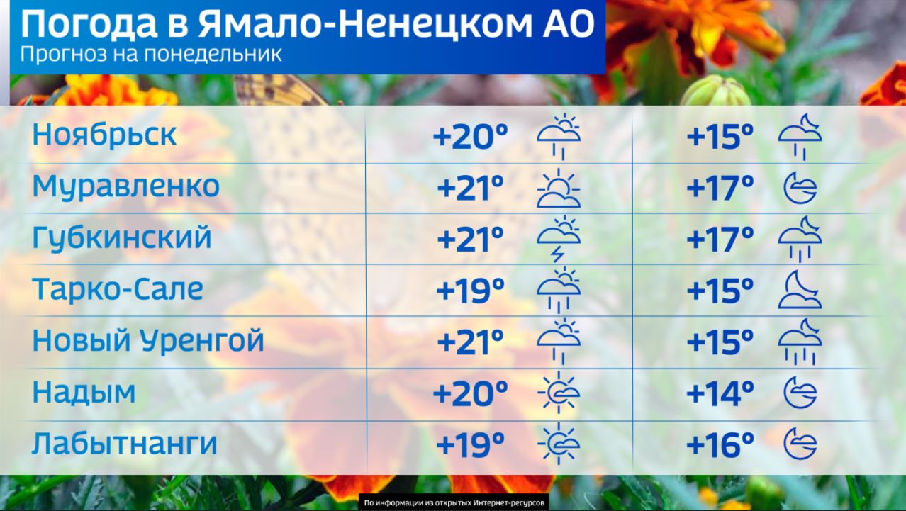 Погода в Салехарде и на Ямале: понедельник будет малооблачный | 08.07.2024  | Салехард - БезФормата