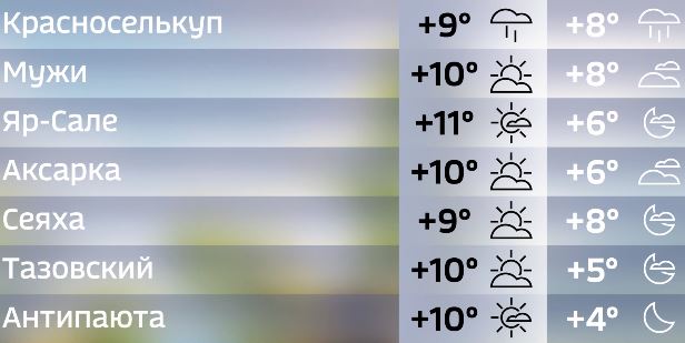 Прогноз погоды на 10 дней в салехарде. Погода в Губкинском на 10. Погода Губкинский ЯНАО на 10 дней. Подробный прогноз Губкинский. Погода в Губкине на 10.