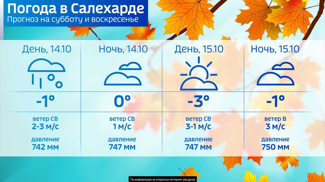 Погода в Салехарде: из «плюса» уходим в «минус» | 14.10.2023 | Салехард -  БезФормата