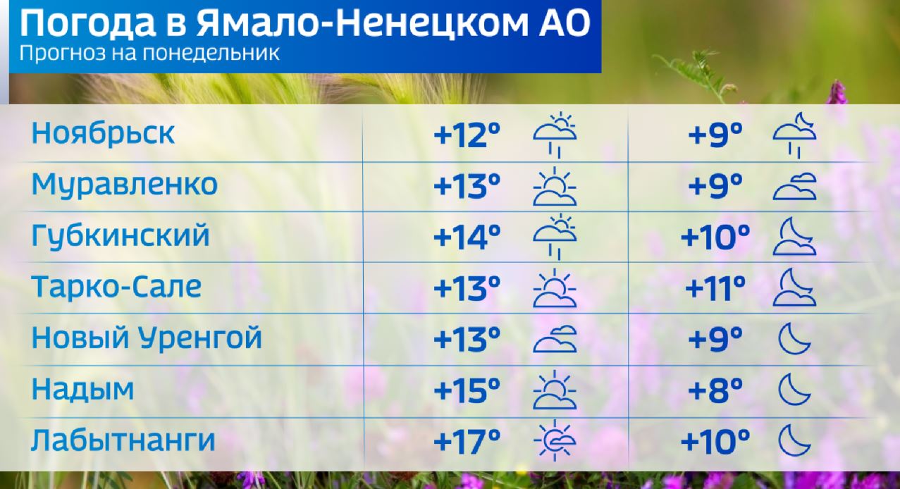 Погода салехард на неделю точный прогноз погоды. Салехард климат. Салехард климат по месяцам. Салехард температура.