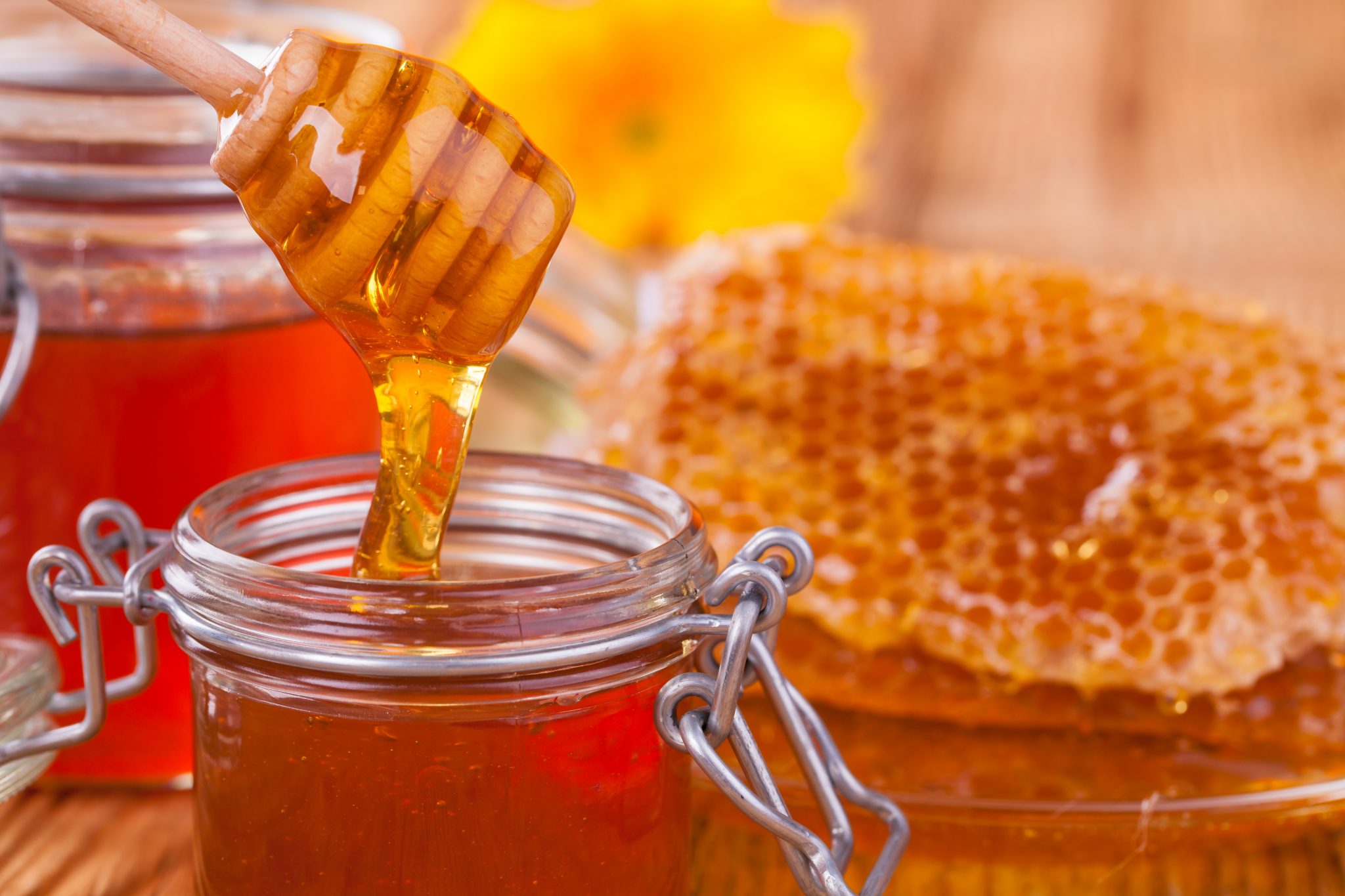 Вкушая вкусив мало меда. Мёд. Мёд натуральный. Красивый мед. Пчелиный мёд.