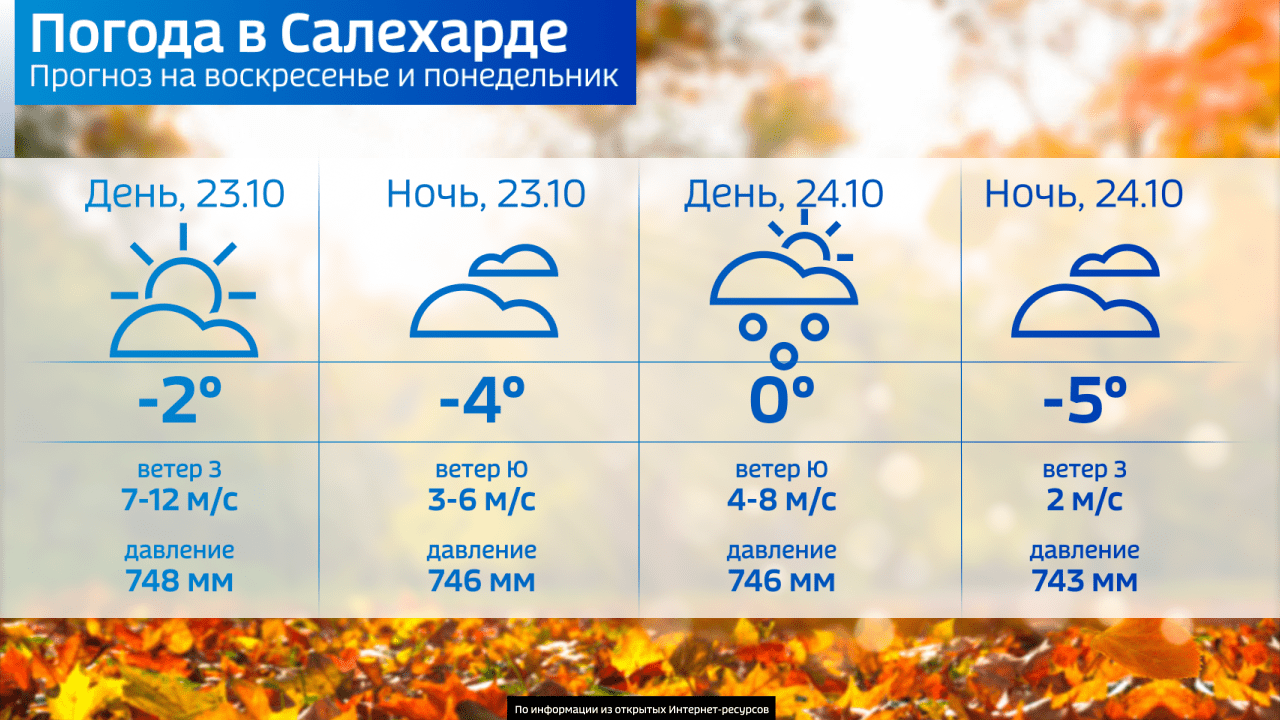 Погода в салехарде карта