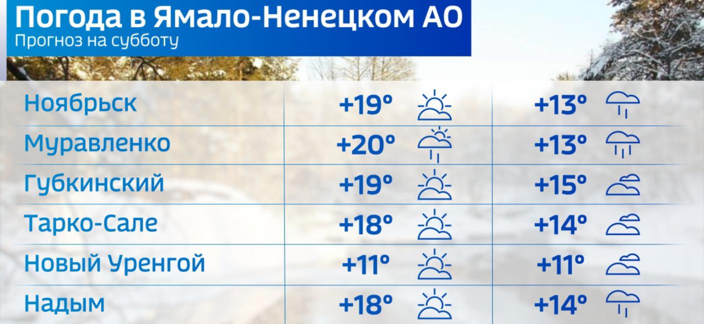 Погода в Салехарде на 14 мая: на Ямале, как всегда, облачно, но теперь еще  и тепло | 14.05.2022 | Салехард - БезФормата