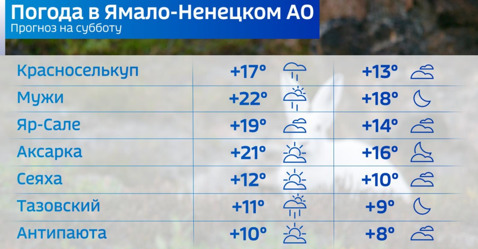 Погода эльбан 10 дней точный прогноз. Погода Салехард. Салехард погода сегодня. Ямал температура. Температура в Салехарде на неделю.