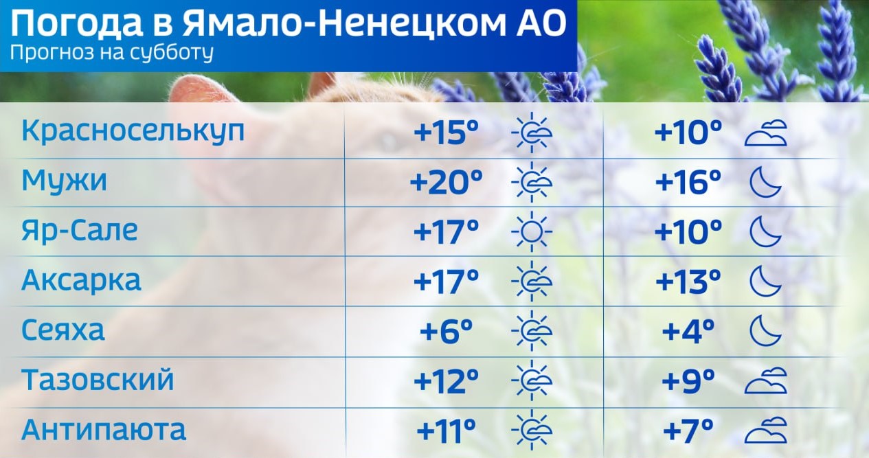 Погода в Салехарде: суббота порадует ямальцев солнцем и летним теплом |  06.07.2024 | Салехард - БезФормата