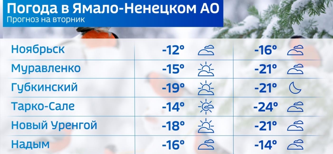 Погода в Салехарде: 22 марта в регионе снова ожидается небольшое  похолодание | 22.03.2022 | Салехард - БезФормата