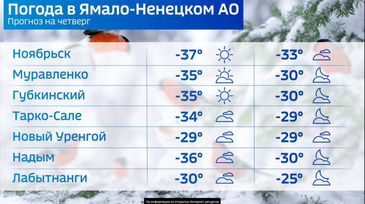 Погода в Салехарде: мороз не собирается отступать – Новости Салехарда и ЯНАО  – Вести. Ямал. Актуальные новости Ямала
