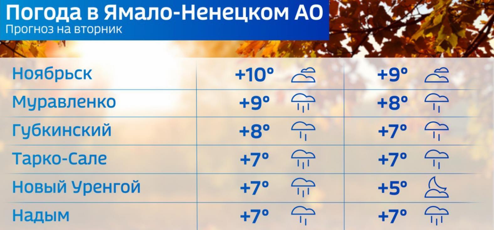 Погода салехард рп5. Погода на сентябрь. Сегодняшняя погода. Температура на улице. Температура сегодня.