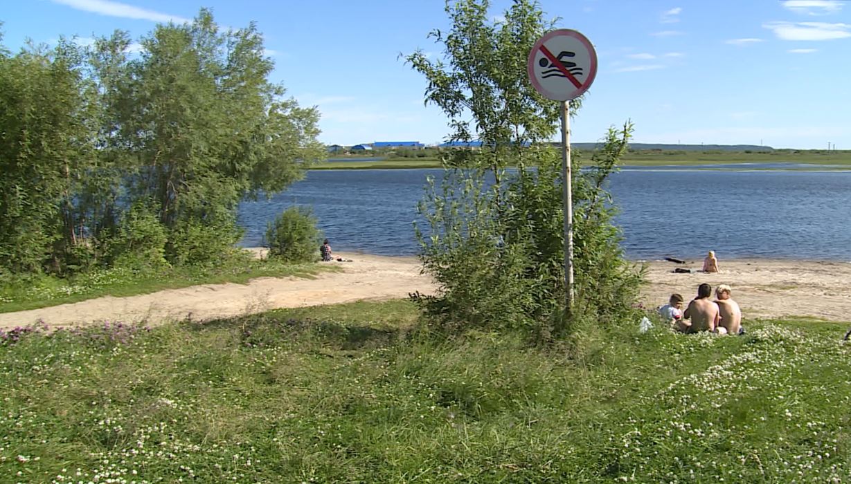 Пляж озеро черное. Где можно искупаться в Чехове. Где купаться в Свободном. Где можно позагорать в Москве. Волгореченск где купаться.