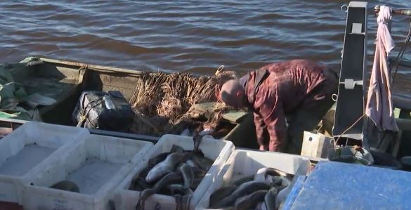 Кругом вода, только не в кране