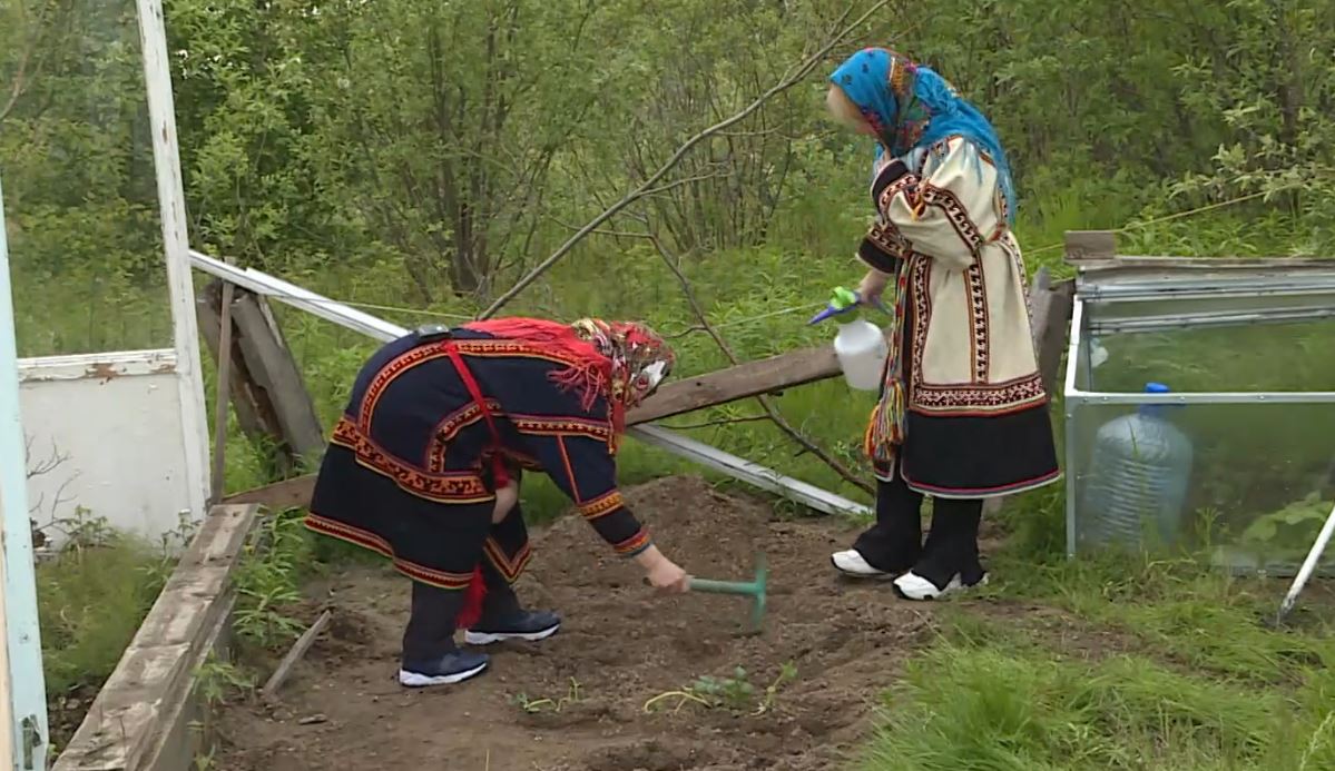 Семья аграриев-любителей из Сеяхи выращивает овощи на Крайнем Севере –  Новости Салехарда и ЯНАО – Вести. Ямал. Актуальные новости Ямала